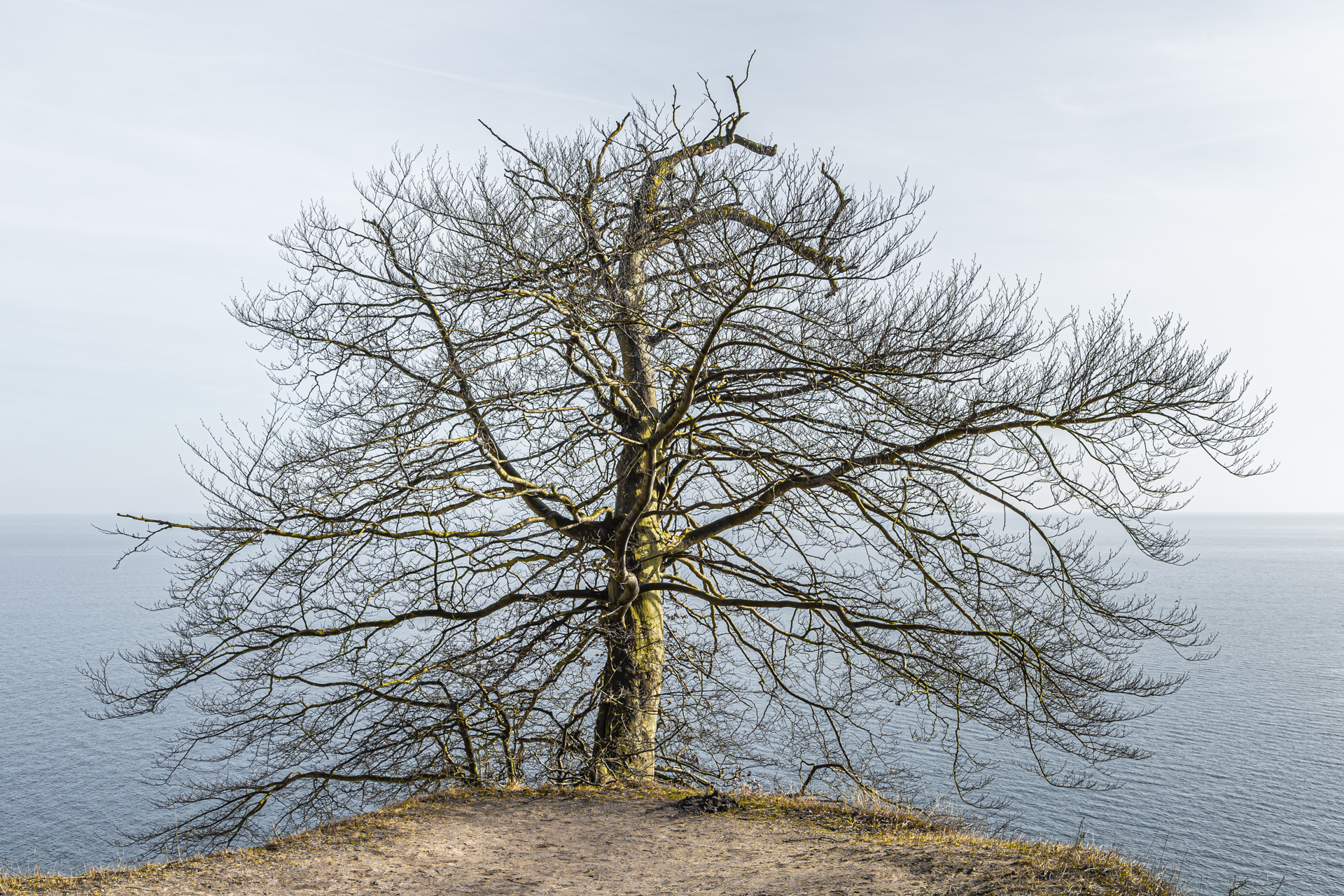 Ernst-Moritz-Arndt-Sicht